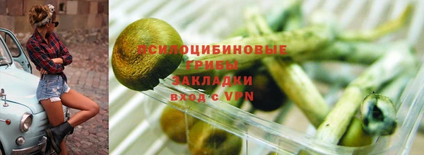 крисы Алексеевка