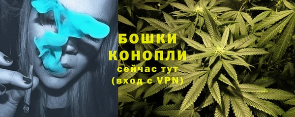 мет Няндома
